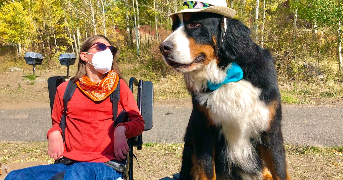Parker The Snow Dog Raises 10,000 For Rocky Mountain Village