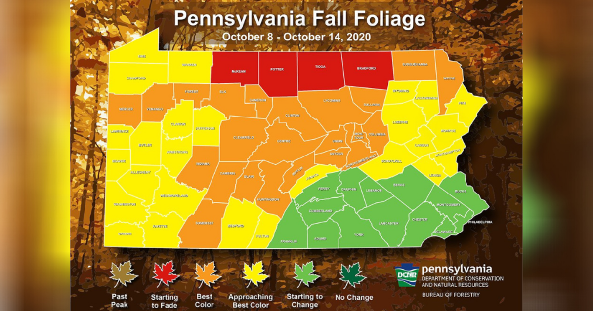 Fall Foliage Report: Forests Around The Pittsburgh Area Are Showing 