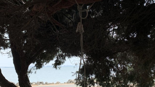 Berkeley Marina Noose 