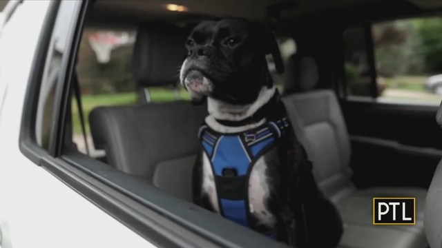 ace-visitpittsburgh-ptl-1 