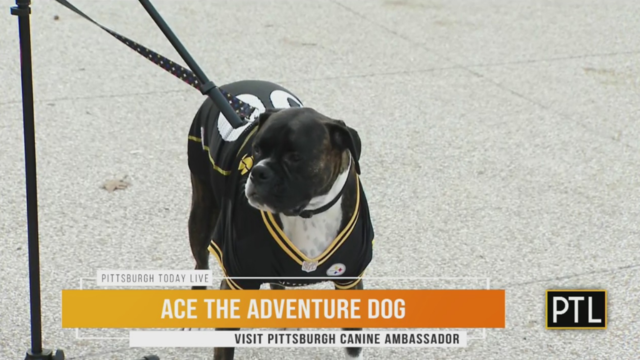 ace-visitpittsburgh-ptl-2.png 