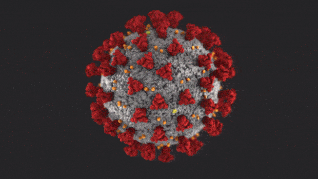 coronavirus-covid-animated.gif 