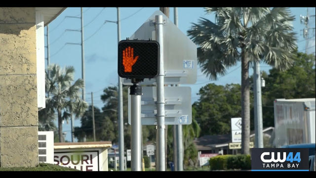 Pedestrian-Deaths-In-Tampa-Bay_1920x1080.jpg 