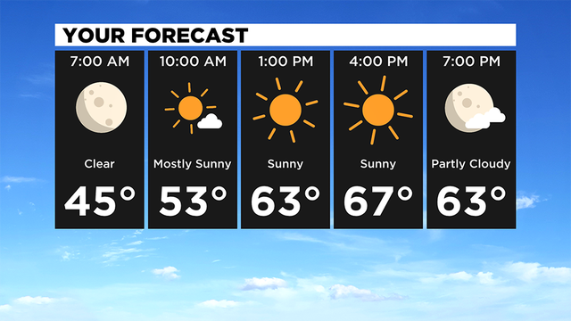 Your-Forecast-1.png 
