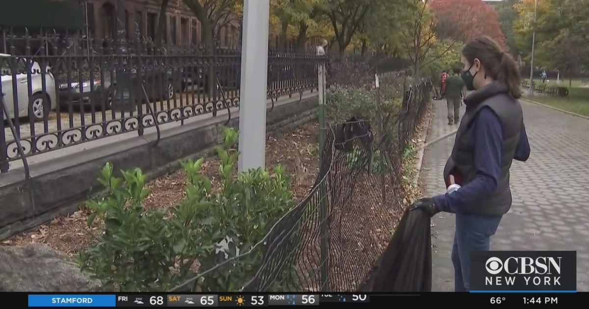 Volunteers Keeping NYC Parks Clean To Make Up For Budget Cuts - CBS New ...