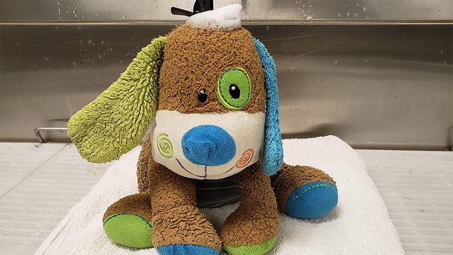 dog-toy-spa-day.jpg 