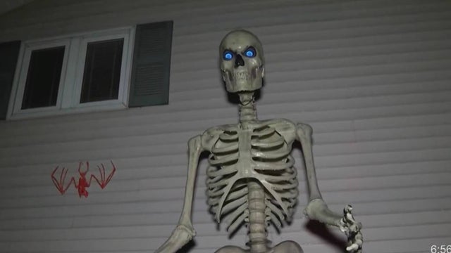 skeleton-1.jpg 