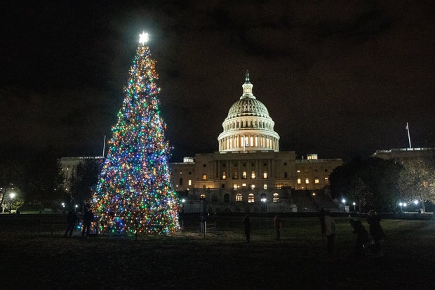 capitol christmas tree 
