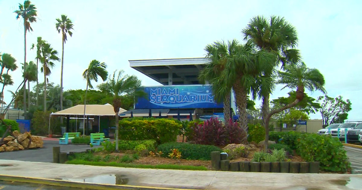 PETA calls for Miami-Dade shut doorways on Miami Seaquarium now PETA calls for Miami-Dade shut doorways on Miami Seaquarium now