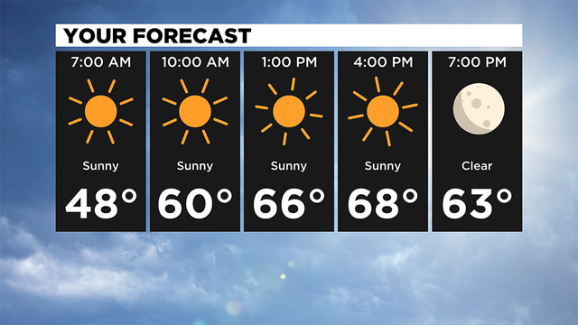 Your-Forecast.png 