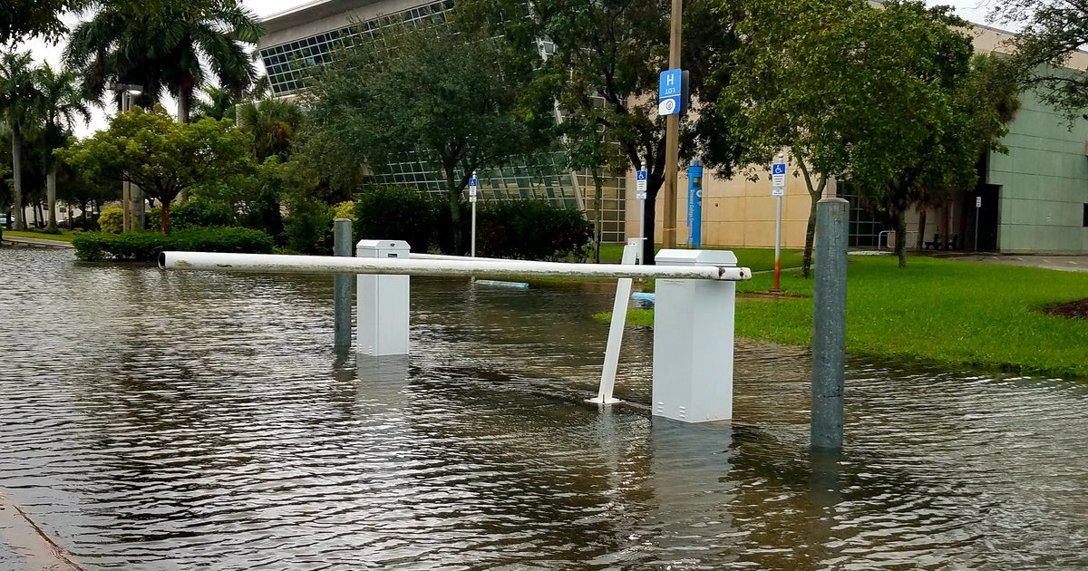 Tropical Storm Eta Flooding In South Florida