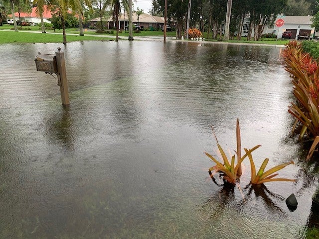 Tropical Storm Eta Flooding In South Florida