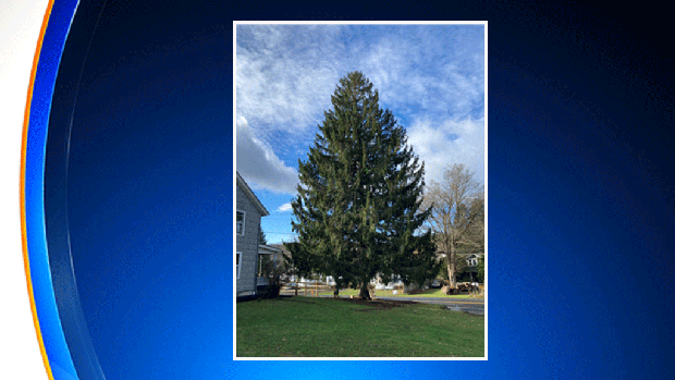 Rockefeller-Center-tree-20-21 