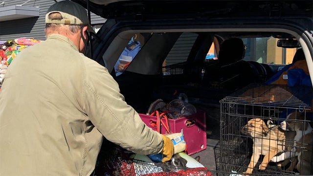 pet-food-distribution.jpg 