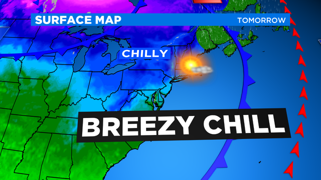 JL Surface Animation 1 