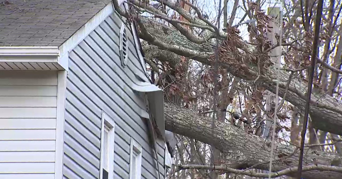 Tree Downs Electrical Lines, Falls Onto House In Arnold CBS Baltimore