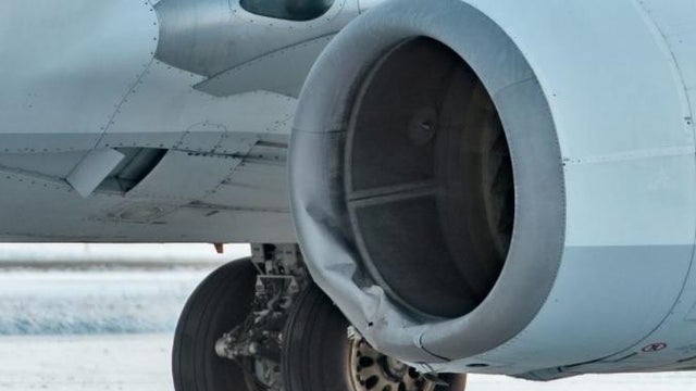 damaged-left-cowling-on-alaska-airlines-plane-that-hit-brown-bear-while-landing-on-111420.jpg 