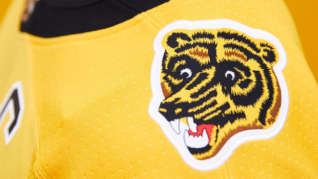 Bruins bear logo 