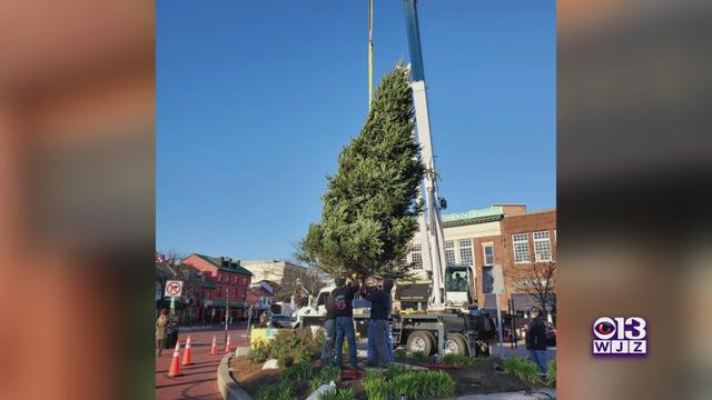 Annapolis-Christmas-tree.jpg 