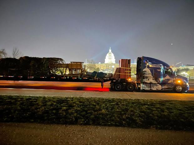 CAPITOL TREE IN DC (official FB page) 
