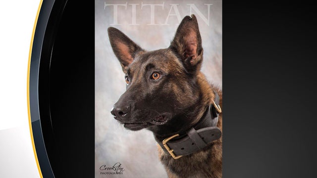 titan-johnstown-k9 