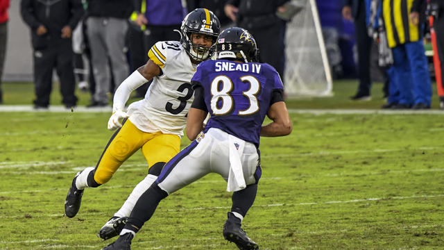 NFL: NOV 01 Steelers at Ravens 