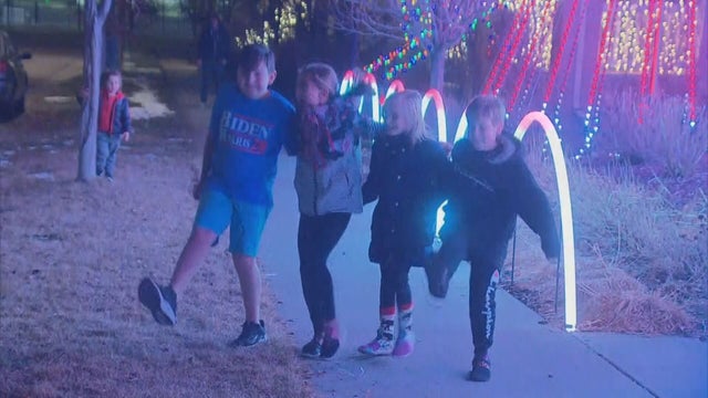 HOLIDAY LIGHTS PKG.transfer_frame_842 