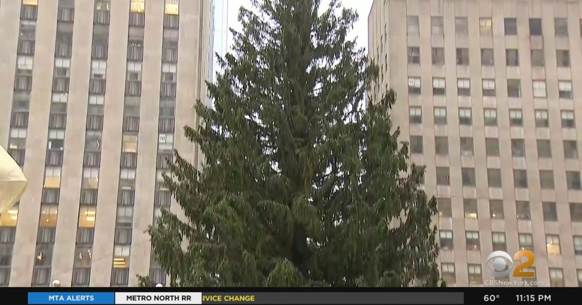 Tickets Required To View Rockefeller Center Christmas Tree, Changes ...