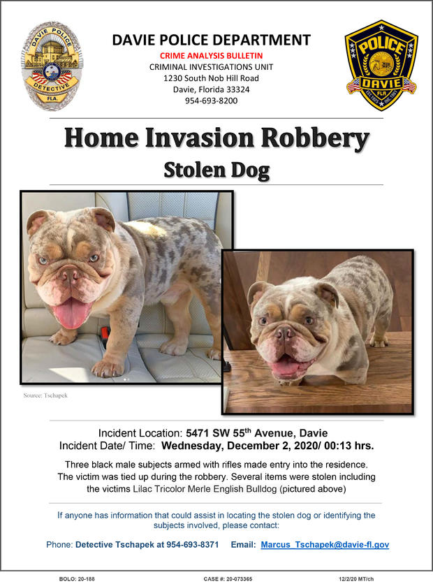 Davie police release information on stolen dog 
