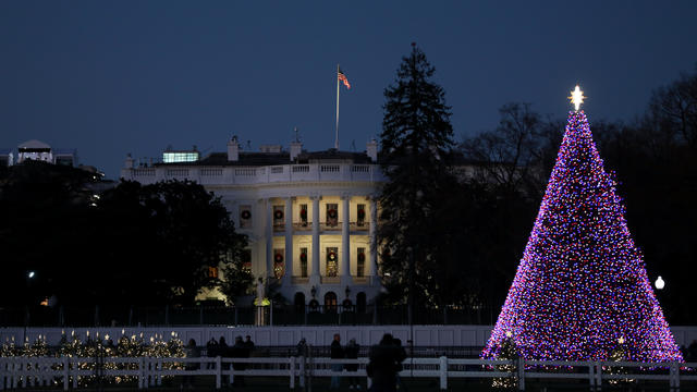 White House Christmas Tree Light 
