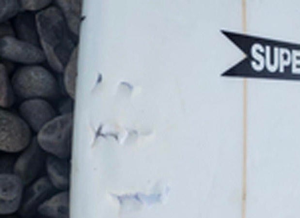 thumb-surfboardbite.jpg