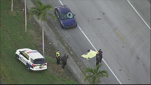 Hialeah-Gardens-Hit-and-Run.jpg 