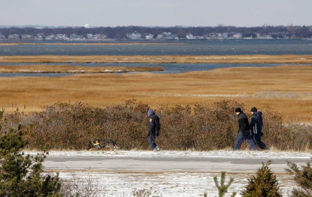 Serial killer search