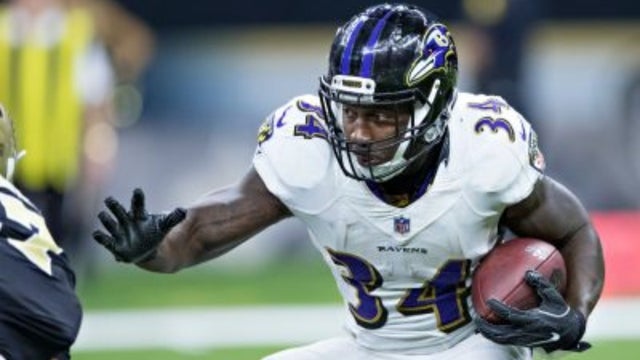 ravens1-16.jpg 