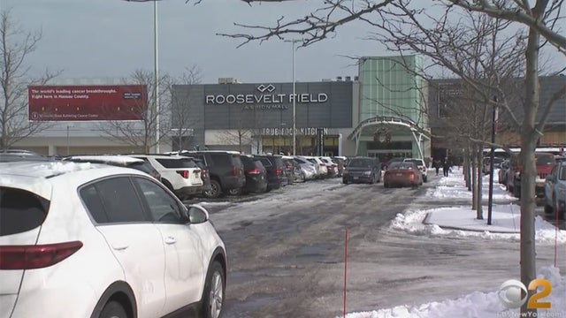 roosevelt-field-mall.jpg 