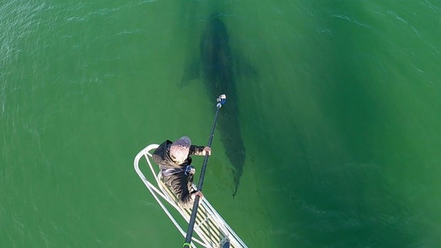 thumbnail_Tagging Equipment