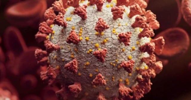 Fears grow after a new strain of the coronavirus is detected in U.K ...