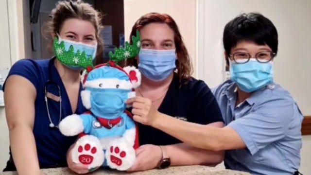 TeddyBearScrubs.jpg 
