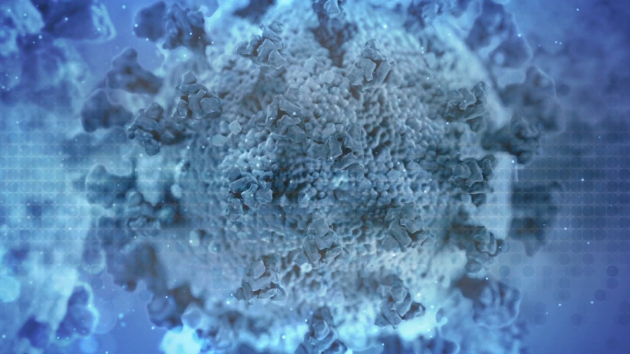 COVID In Colorado: 3 Cases Of South African Variant Detected At Buena ...