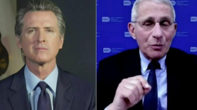 newsom-fauci.jpg 