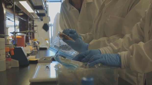 DU ANTIBODY TEST 6PKG.transfer_frame_293 