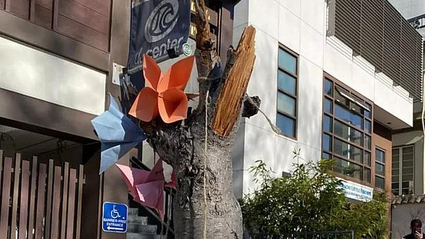 japantown tree vandalism Japanese Cultural and Community Center of Northern California gofundme photo 