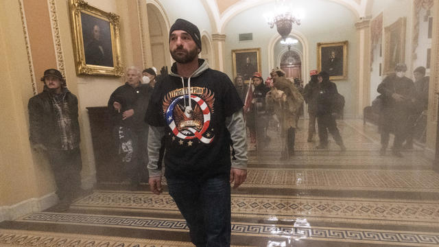 Capitol mob suspects 