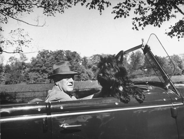 President Franklin D. Roosevelt driving in his con 