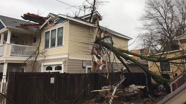 mansion-flats-tree-damage-home.jpg 