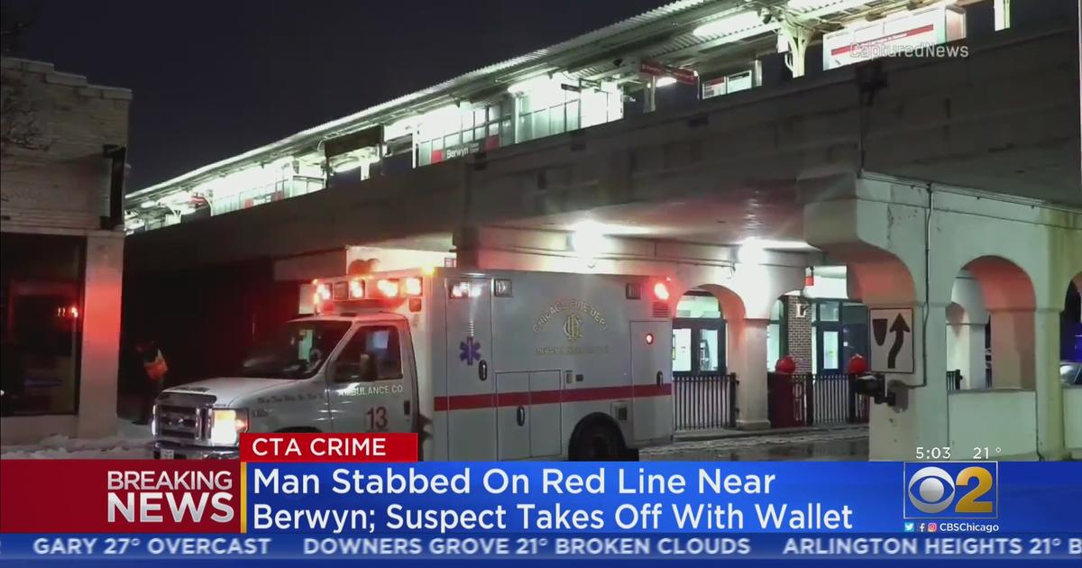 Man Stabbed On CTA Red Line Near Berwyn - CBS Chicago