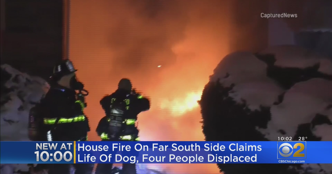 Fire Claims Dog's Life In Jeffery Manor CBS Chicago