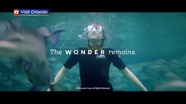 Wonder-Remains-in-Orlando.jpg 