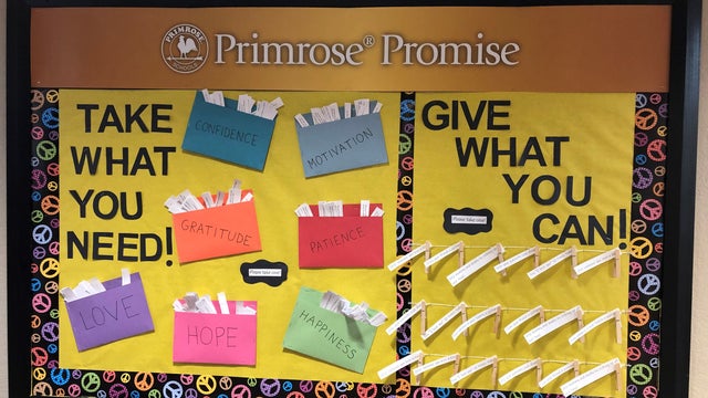 primrose-love-and-kindness-board3.jpg 