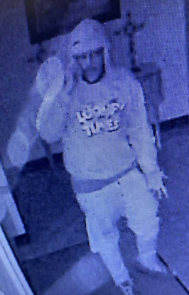 looney tunes suspect 1 